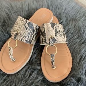 Market & Spruce Snake Print Sandal